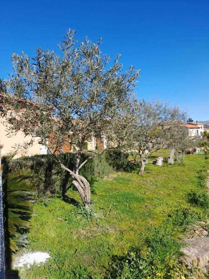 Agriturismo La Stragola Nicosia Eksteriør bilde