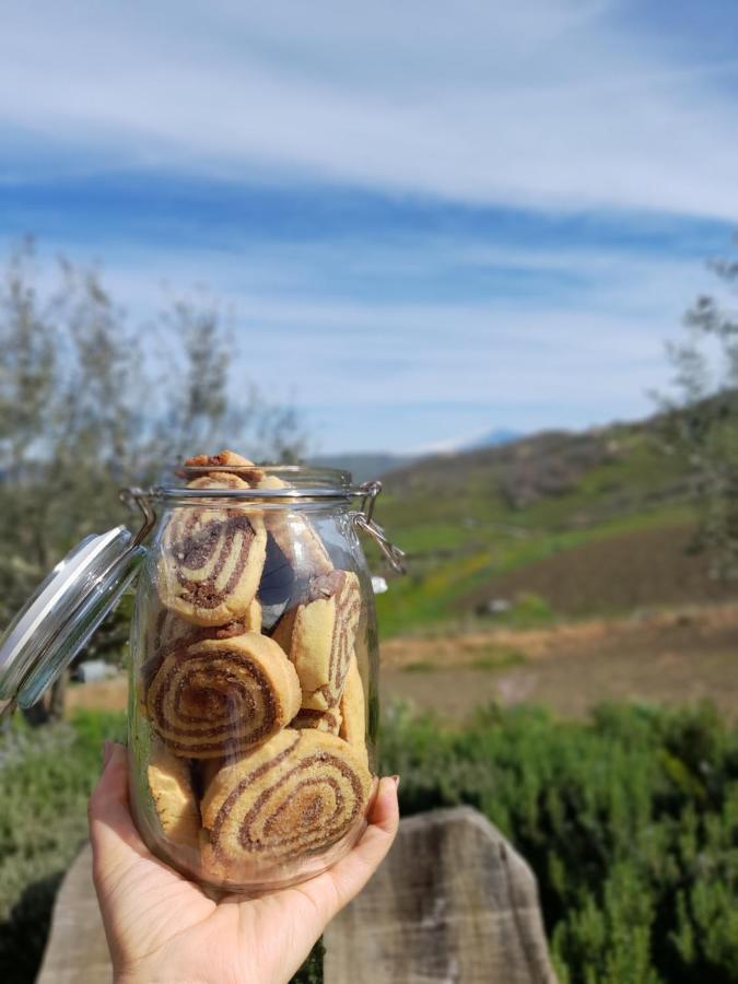 Agriturismo La Stragola Nicosia Eksteriør bilde