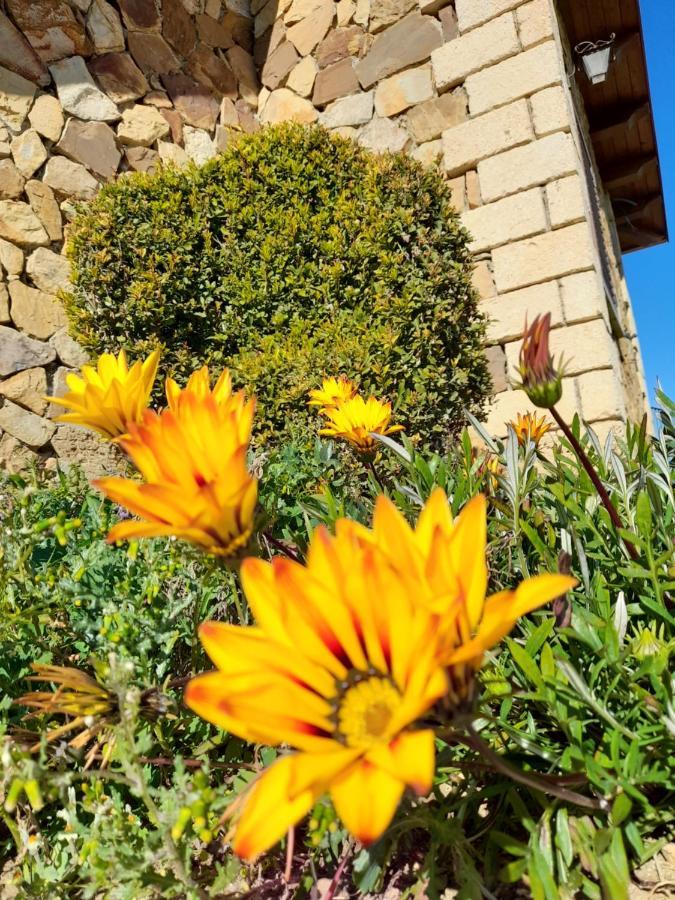 Agriturismo La Stragola Nicosia Eksteriør bilde