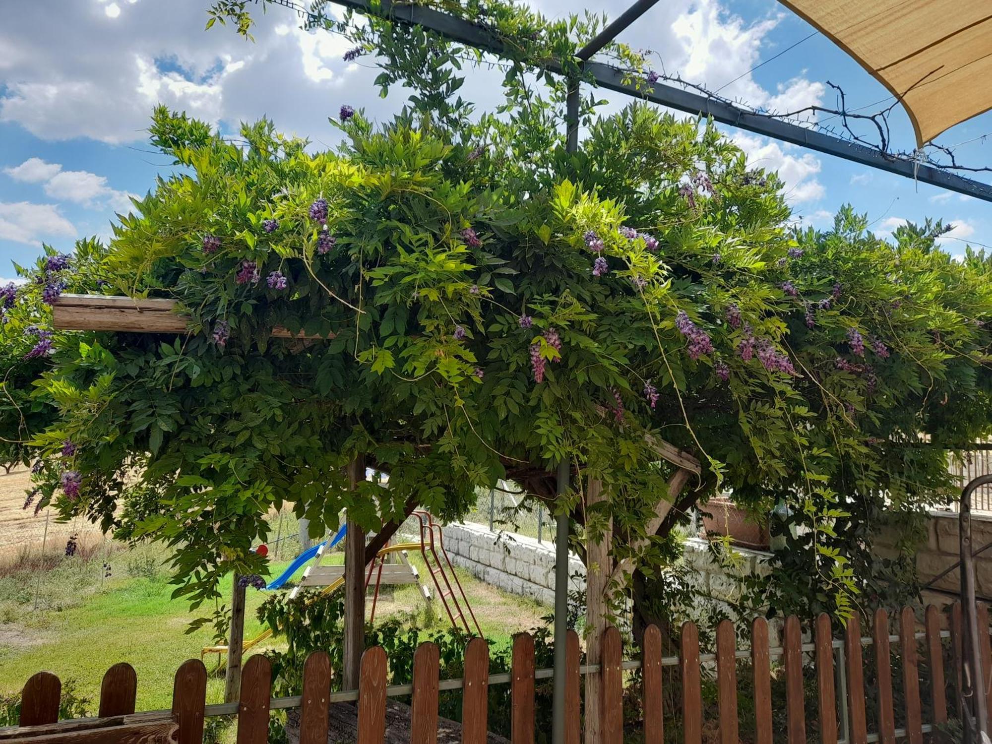 Agriturismo La Stragola Nicosia Eksteriør bilde